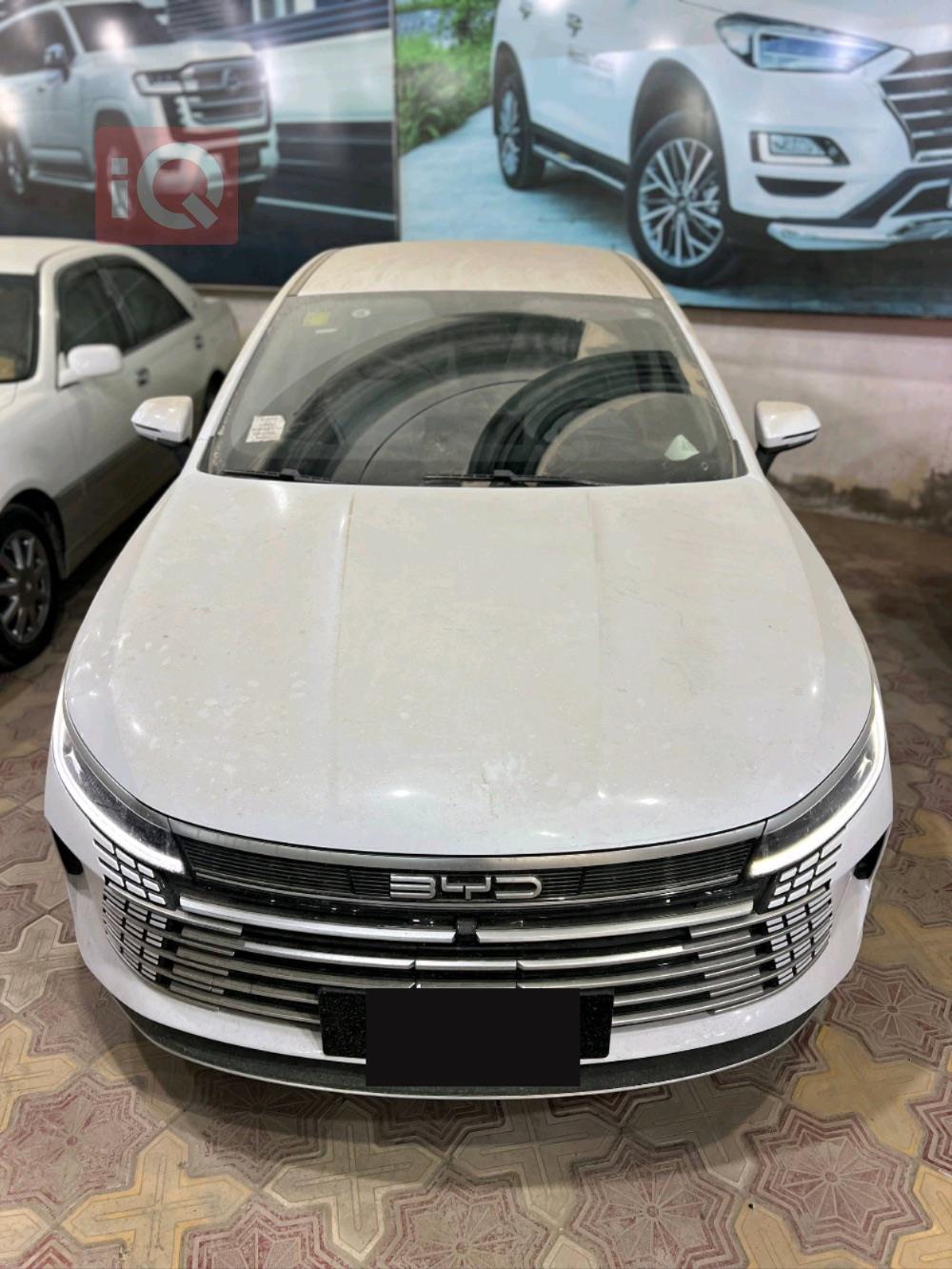 بي واي دي ديستروير 05